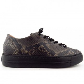 Paul Green BOA safari Sneaker low in Braun